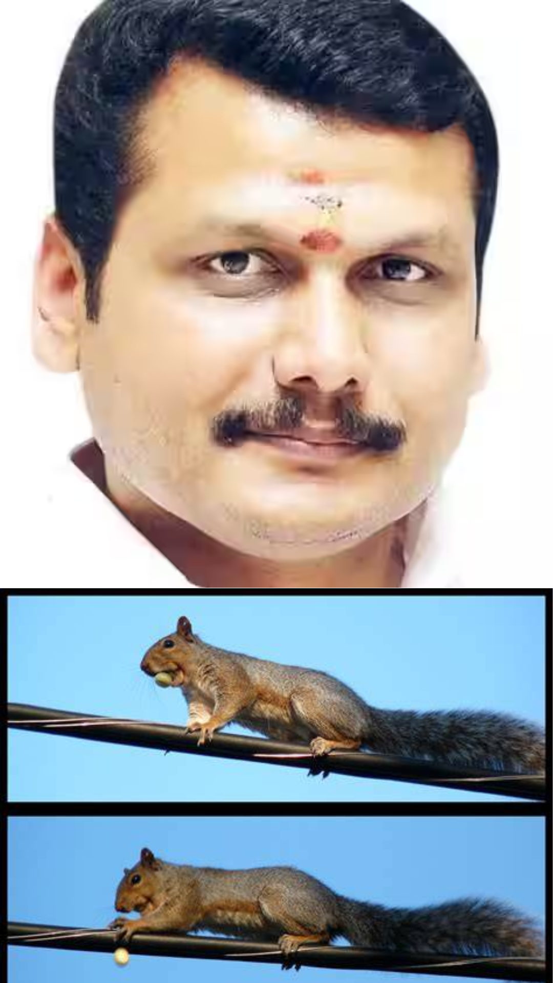 Squirrel Story for Power Cuts? Seriously?